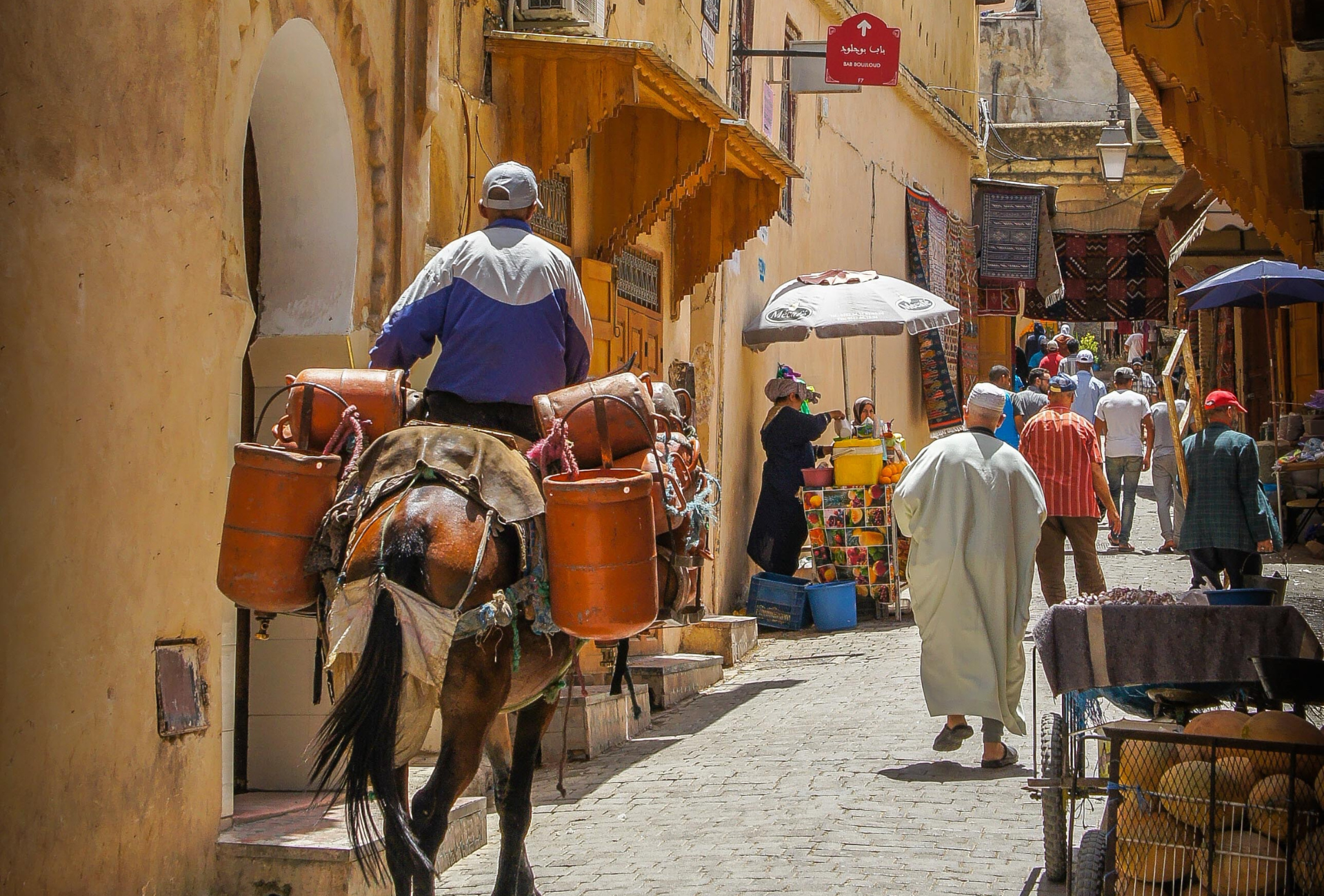 Supporting civil society advocacy for transparency and anti-corruption in Morocco