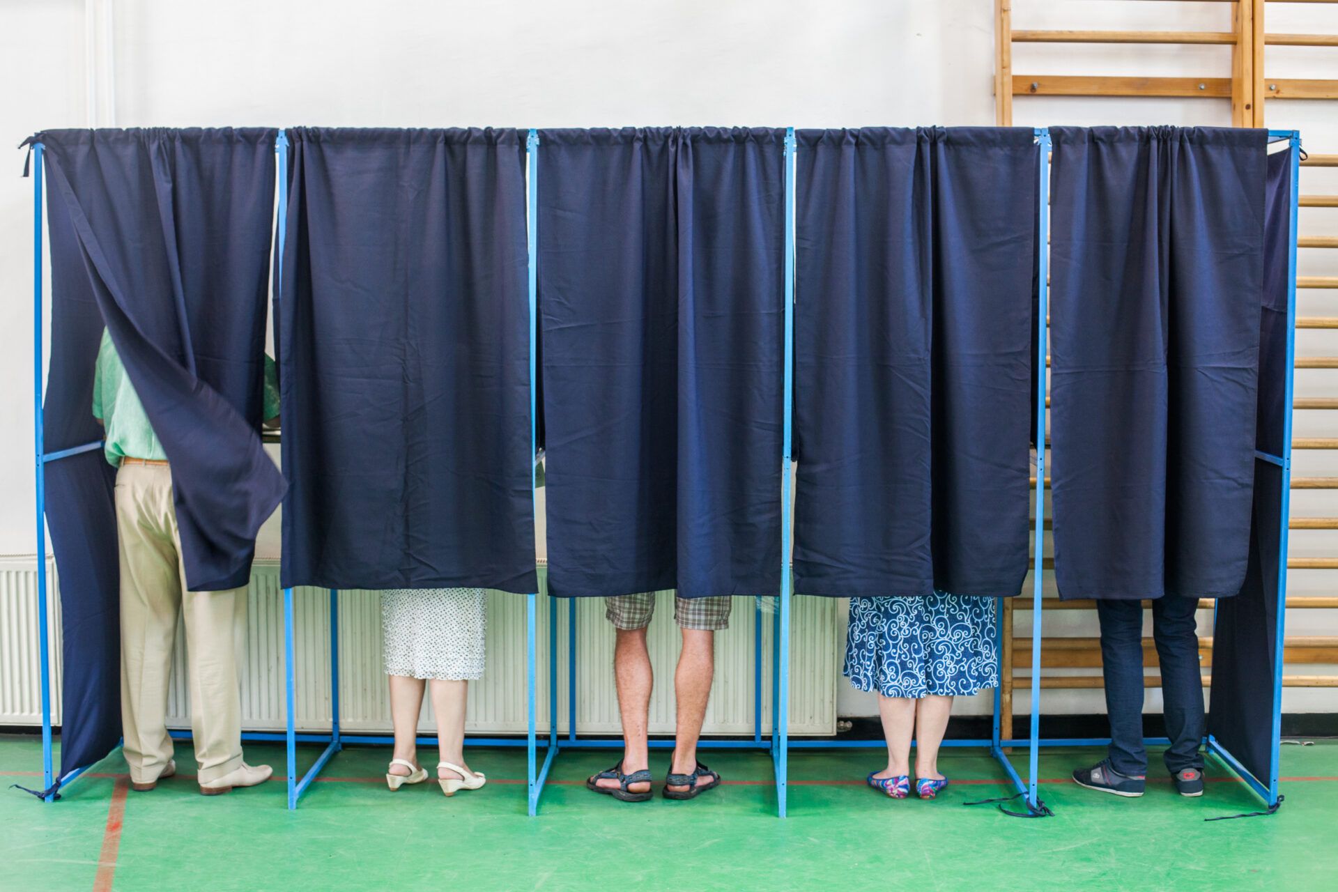Color image of some people voting in some polling booths at a voting station.