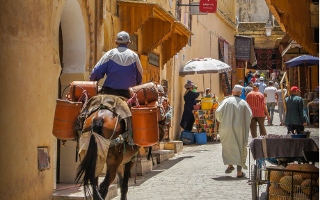 Supporting civil society advocacy for transparency and anti-corruption in Morocco