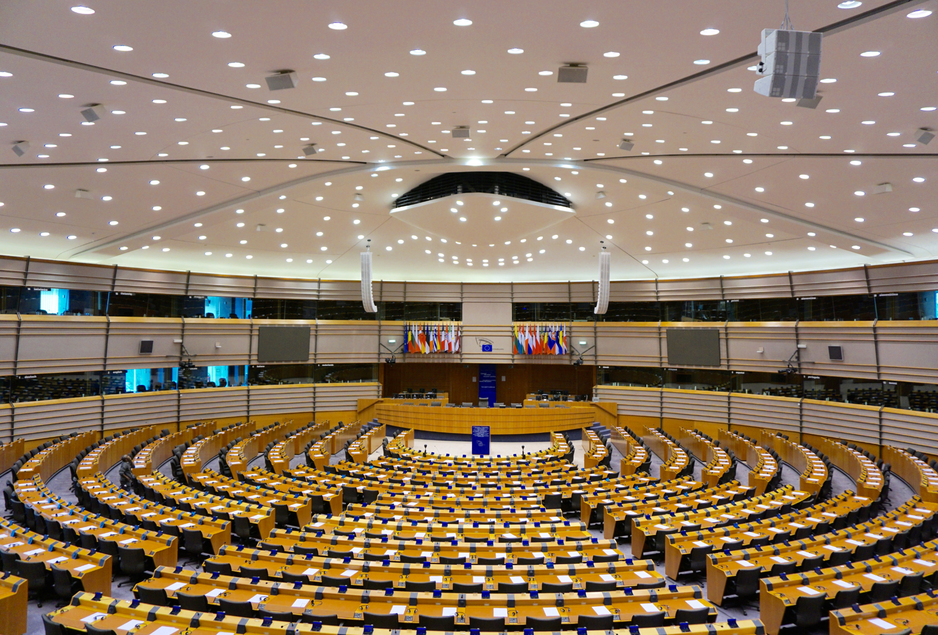 Statement on the European Elections