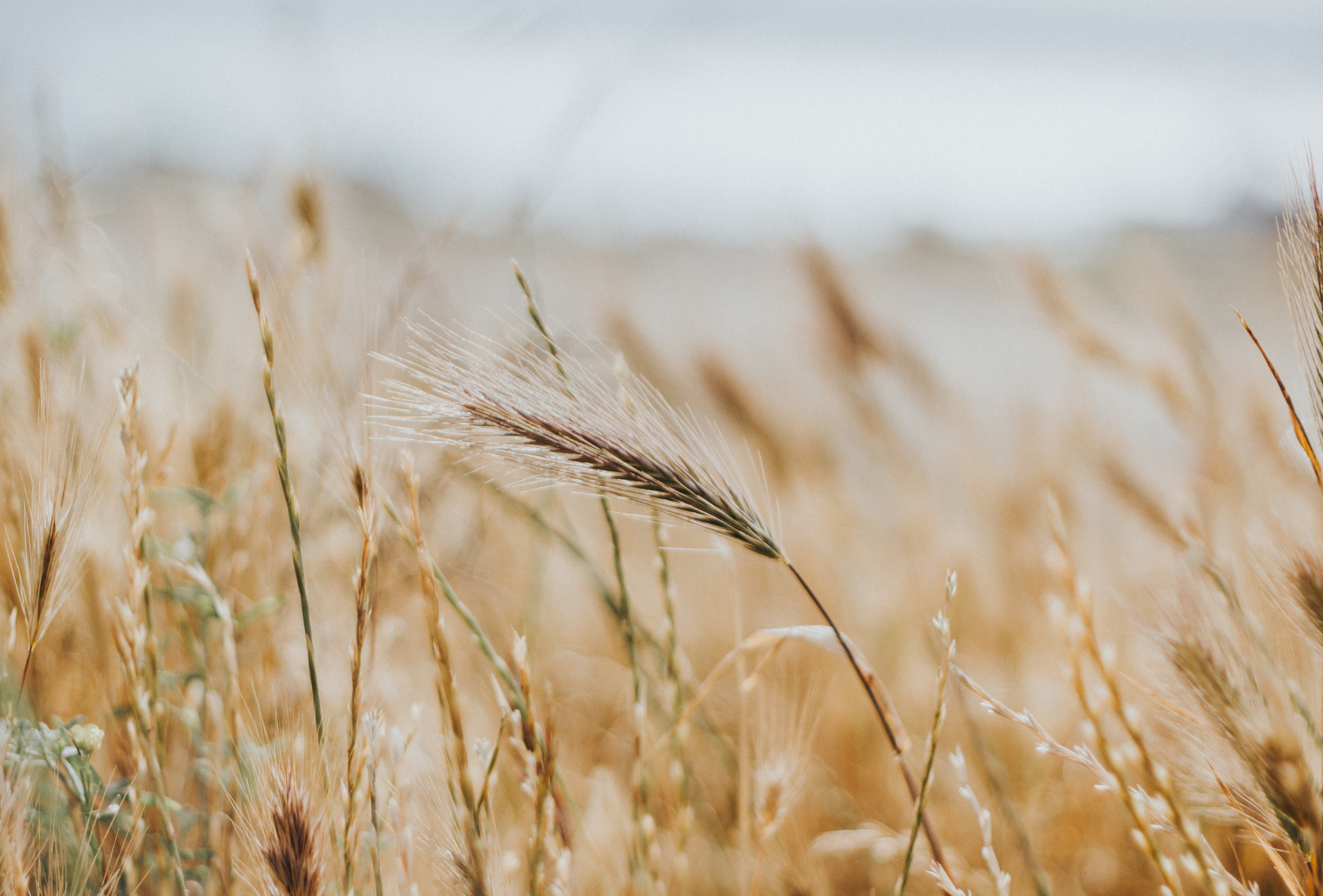 Using Outcome Harvesting for Project Evaluations