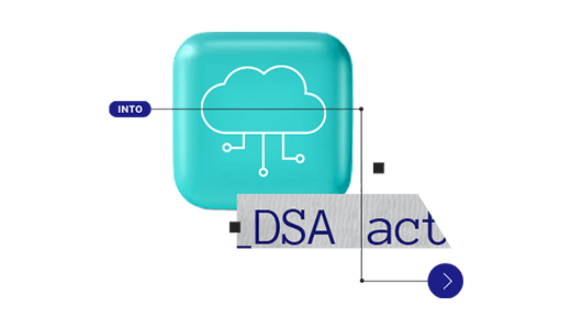 Entry into Force of Digital Services Act (DSA)